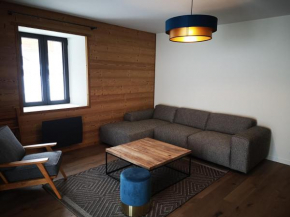 Magnifique et spacieux appartement face Mont-Blanc